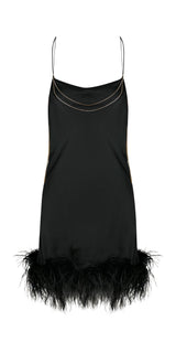 Sleve Feather Dress